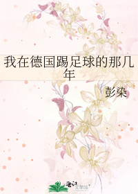 Bìa truyện Ngã Tại Đức Quốc Thích Túc Cầu Đích Na Cơ Niên (我在德国踢足球的那几年)