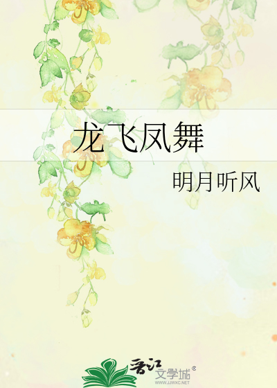 Bìa truyện Long Phi Phượng Vũ (龙飞凤舞)