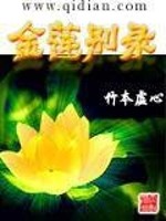 Bìa truyện Kim Liên Biệt Lục (金莲别录)