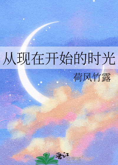 Bìa truyện Tòng Hiện Tại Khai Thủy Đích Thời Quang (从现在开始的时光)