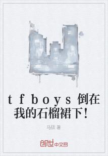 Bìa truyện Tfboys Đảo Tại Ngã Đích Thạch Lưu Quần Hạ (tfboys倒在我的石榴裙下！)